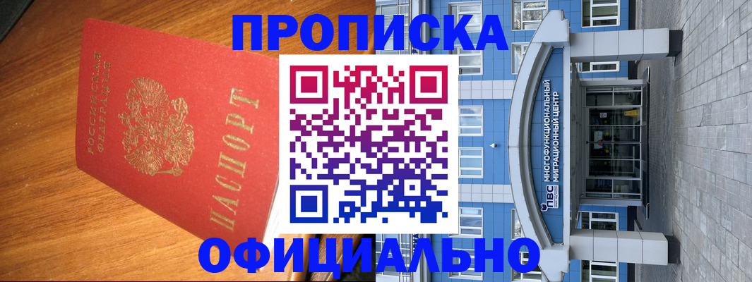 временная регистрация для школы в Щёкино